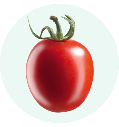 tomato photo